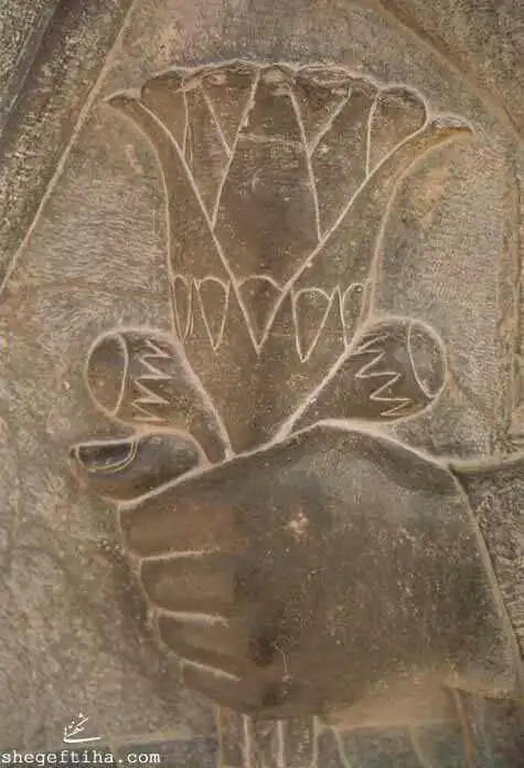 Persian Iris Persian Iris symbols in Persepolis
