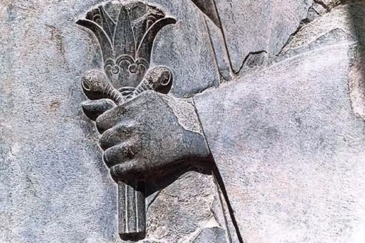 Persian Iris Persian Iris symbols in Persepolis